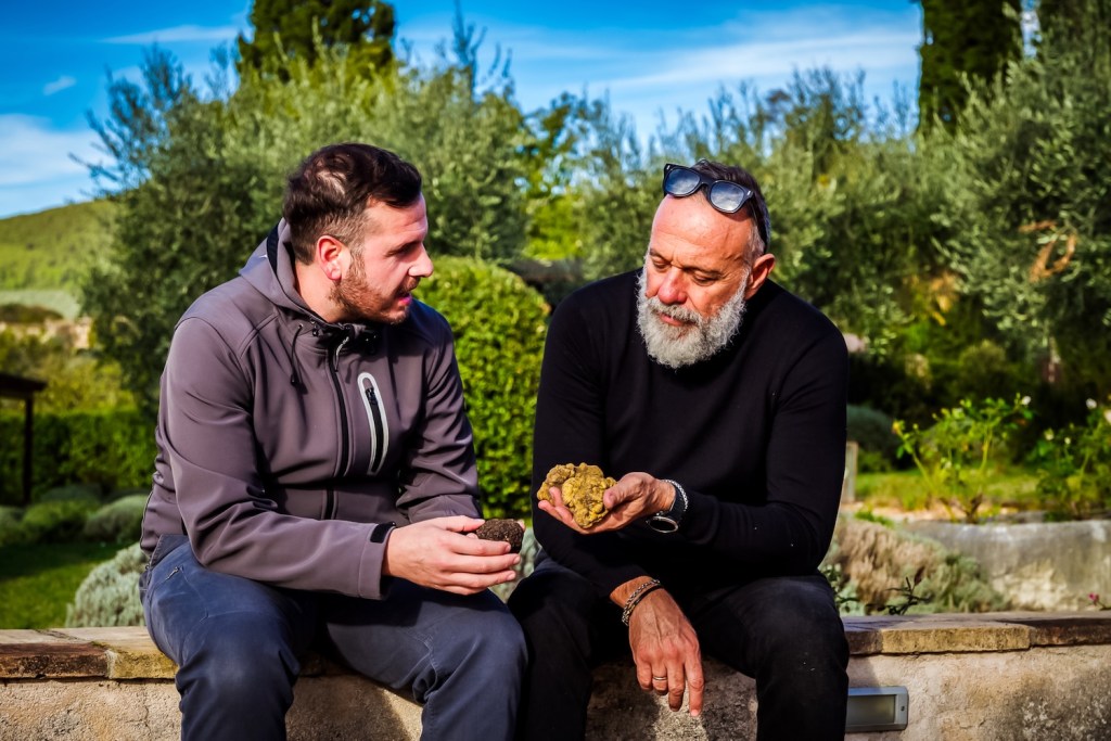 Truffle Experience 1